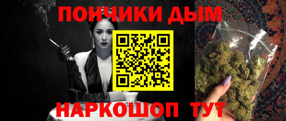 Каннабис сатива Гатчина